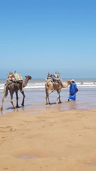 Charmant Riad Pour Familles Ou Groupes - Dar Mama Esauira Exterior foto